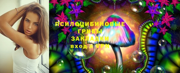 амф Алексеевка